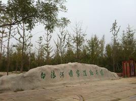 山東濰坊白浪河國家濕地公園 山東濰坊白浪河國家濕地公園