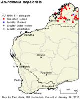 石芒草-分布圖(圖2)