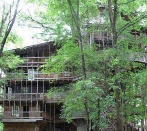 賀拉斯樹屋 賀拉斯樹屋