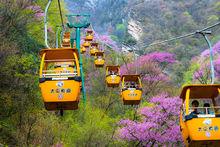 陝西太平國家森林公園