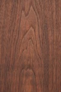 北美黑胡桃 北美黑胡桃