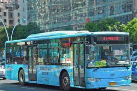 廈門31路 廈門31路