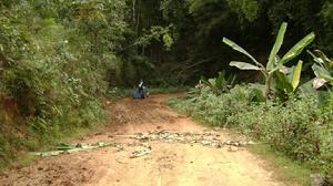 南東自然村的進村道路