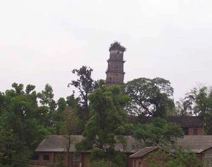 湖南傳芳塔 湖南傳芳塔