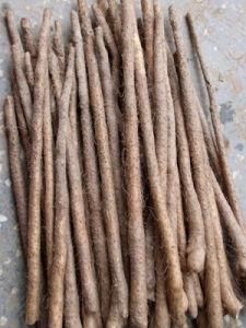 鐵棍山藥 鐵棍山藥