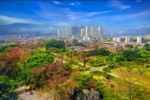 九龍嶺林場 九龍嶺林場