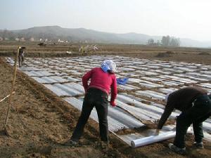 （圖）雲峽河回族鄉
