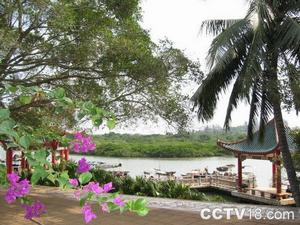 東寨港紅樹林海岸