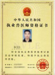 全國職業資格等級考試 全國職業資格等級考試