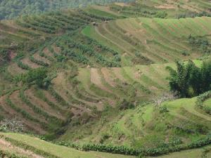 各陳家村 各陳家村