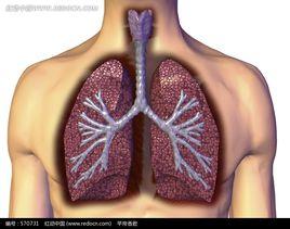 肺灌洗療法 肺灌洗療法