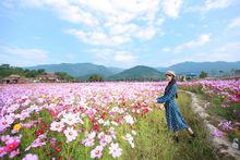 白沙[福建省福州市鄉鎮區劃名稱]