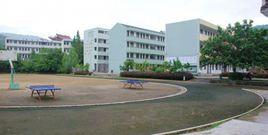 平陽縣水頭鎮鶴溪中學 平陽縣水頭鎮鶴溪中學