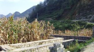 上吉里自然村 上吉里自然村