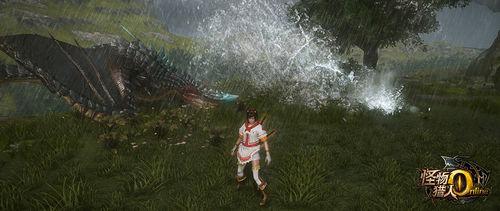 蠻龍[《怪物獵人Online》虛擬怪物之一]