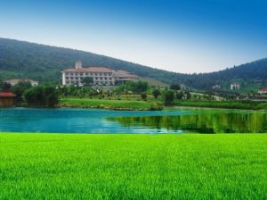 白馬山莊國際旅遊度假村 白馬山莊國際旅遊度假村