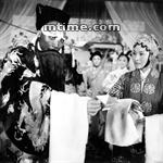 包公賠情[1979年霍福慶主演電影]