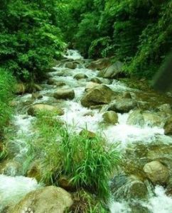 神靈寨國家森林公園