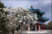 北京中山公園[北京市東城區中山公園]