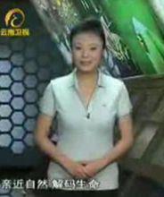 張方[雲南電視台主持人]