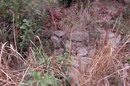 張萬成墓 張萬成墓