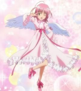 守護甜心之血染薔薇