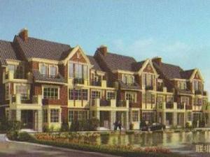 楓林天下 楓林天下