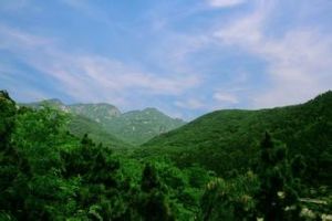 沂蒙[中國老革命根據地生態沂蒙]