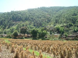 馬沙壩自然村 馬沙壩自然村