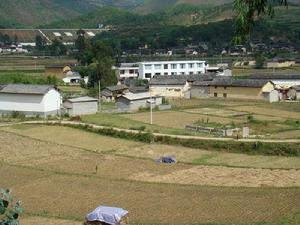 連環村自然村 連環村自然村