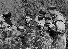 聖弗朗西斯之花 聖弗朗西斯之花