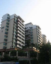 仙桐合正錦園 仙桐合正錦園