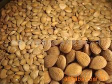 巴旦杏仁