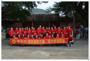 麥亞信科技股份有限公司 麥亞信科技股份有限公司