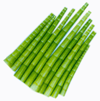 海南省國營西達農場