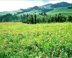 夏塔旅遊區 夏塔旅遊區