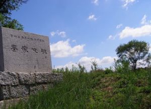 秦家屯鎮 秦家屯鎮