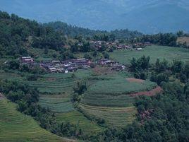 小立馬東自然村 小立馬東自然村