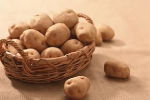 土豆 21世紀的新主食