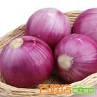 北京紫皮洋蔥