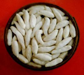 山藥魚兒 山藥魚兒