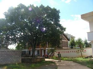 百戶營村校園一角