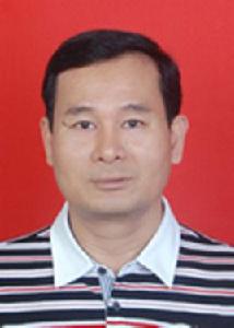 張奇[廣東省湛江雷州市紀委副書記、市監察局局長]