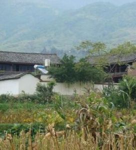 大脈寨村 大脈寨村