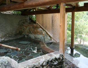 蘆之牧溫泉 蘆之牧溫泉