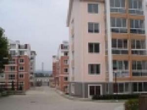 華鳳第8天 華鳳第8天