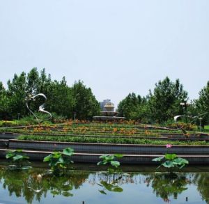 金隅南湖公園 金隅南湖公園