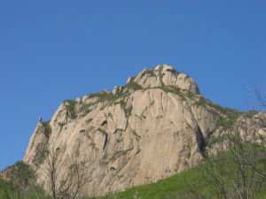 蓮花山森林公園