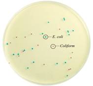 中國檢驗檢疫科學研究院