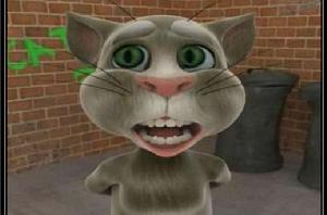 會說話的湯姆貓免費版 會說話的湯姆貓免費版